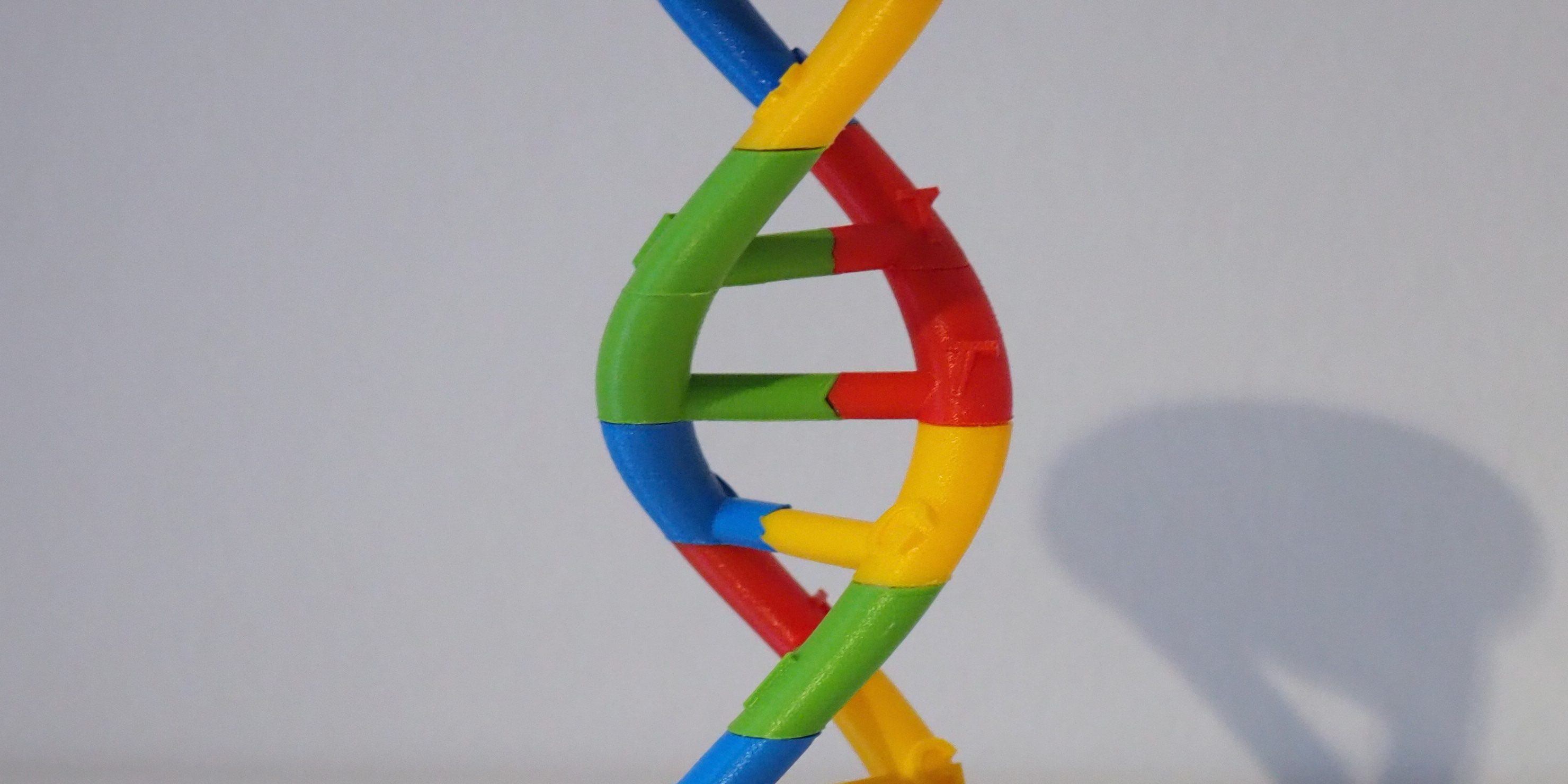 3D-gedruckte DNA-Spirale