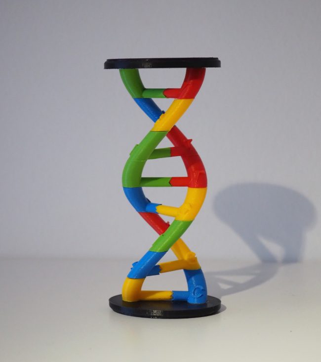 3D-gedruckte DNA-Spirale