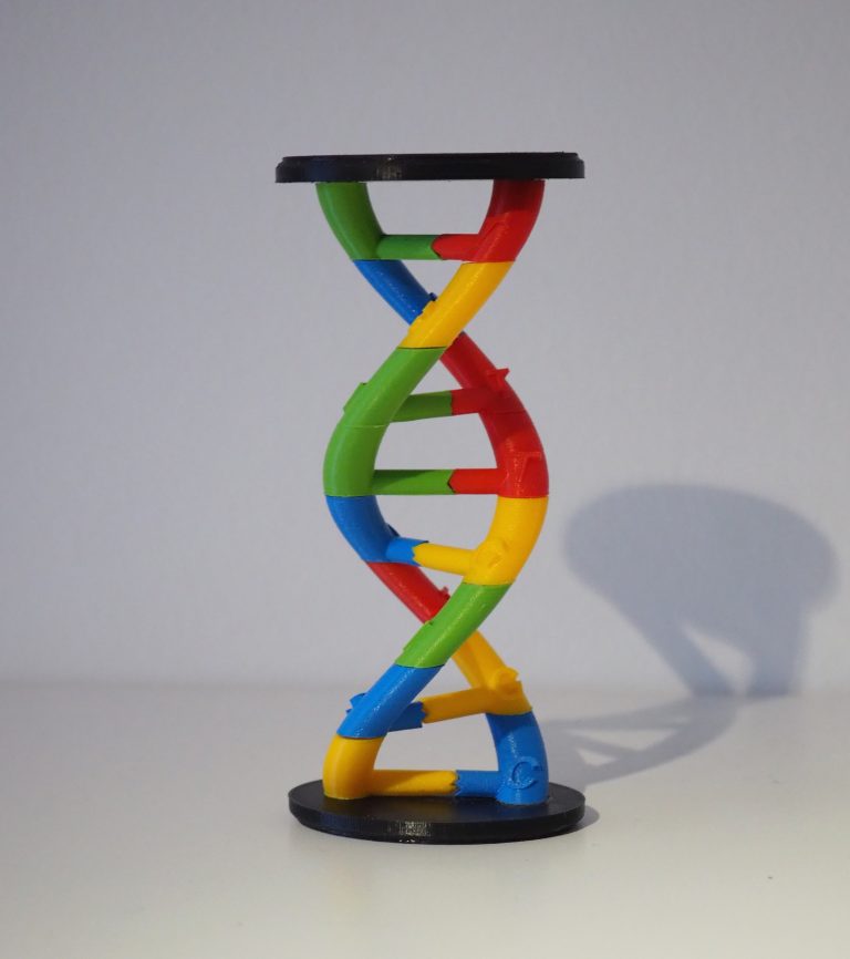 3D-gedruckte DNA-Spirale